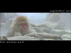 BBC Travel Show - Japan's Prettiest railways (Week 47)