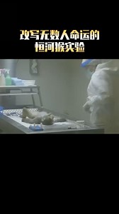 改变无数人命运的恒河猴实验。 #GombeExperiment #BehaviorScience #恒河猴实验 #命运改变 #动物行为研究 | 用眼看世界