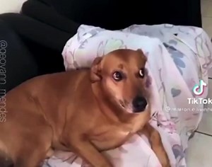 101K views · 3.4K reactions | —Yo viendo a mi amix haciendo Tik Tok: | Feelings Pink | Facebook