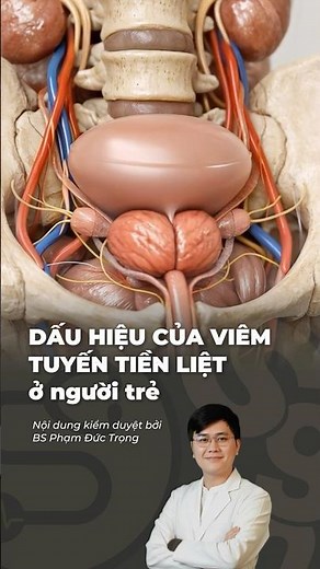 Đâu là dấu hiệu của viêm tuyến tiền liệt ở người trẻ | BS Phạm Đức Trọng