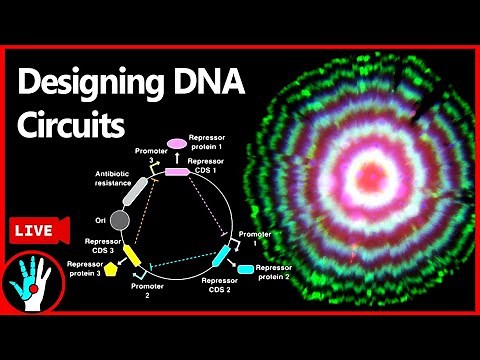 [LIVE] Programming DNA circuits | Learn Real Genetic Engineering - Part 3