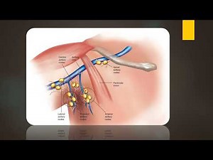 axillary lymph nodes- easy embryology gross anatomy channel