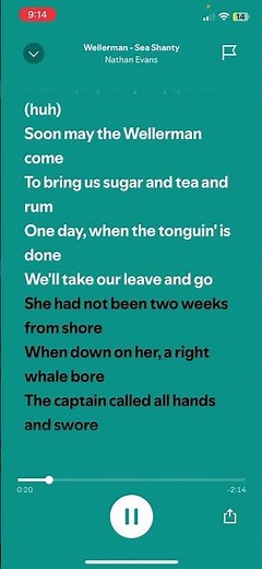 Nathan Evan’s-Wellerman-Sped up-