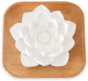 Plant Therapy Passive Lotus Flower Aromatherapy Diffuser - A Chic and Natural Home, Office, and Travel Essential Oil Diffuser
