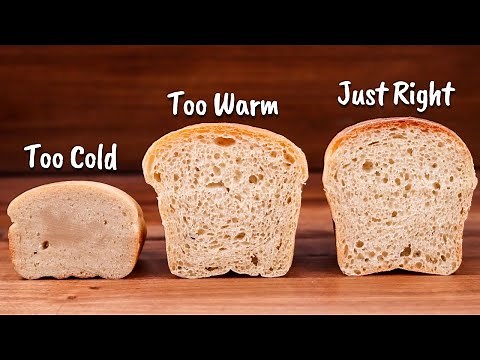 How Bread Dough Temperature Affects Fermentation | Principles of Baking