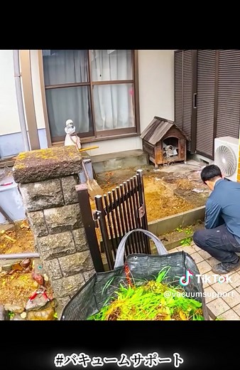 庭師による伐採作業と剪定のプロセス