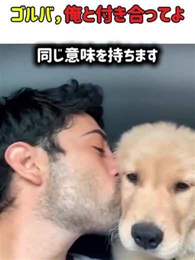 【雑学】ワンコが人間からのキスに本当に喜んでいる「意外な理由」が可愛すぎるｗ #いぬ #犬 #犬動画 #感動 #癒やし #絆 #かわいい #カワイイ