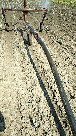 Agricultural Irrigation System in Action