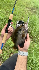 From tackle shop to the water, Mud Hole’s got everything you need in one place! The Crappie, Panfish & Trout Spinning Rod Kit makes it easy. 🐟💪 #mudhole #rodbuilding #fishingkit #panfish #crappiefishing | Mud Hole Custom Tackle