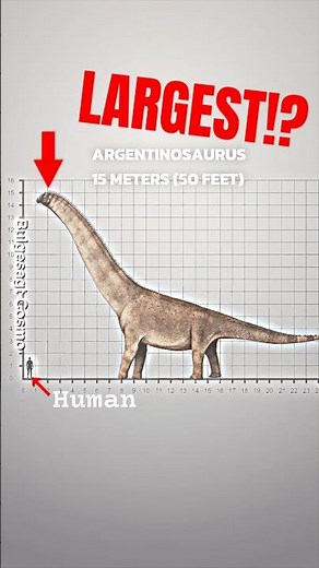 REAL-WORLD DINOSAURS SIZE COMPARISON: Giants of the Past