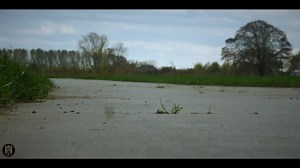 1.2K views · 39 reactions | Go check out the full video of this lovely Ferrari 360 Modena F1 on our YouTube channel! You can subscribe via: youtube.com/GalleryAalderingTV #ferrari360modenaf1 #Ferrari360 #Ferrari360modena #Ferrari #Galleryaaldering | Gallery Aaldering | Facebook