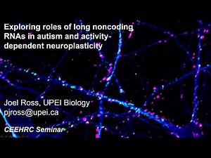 Long Noncoding RNA (27 May 2022)