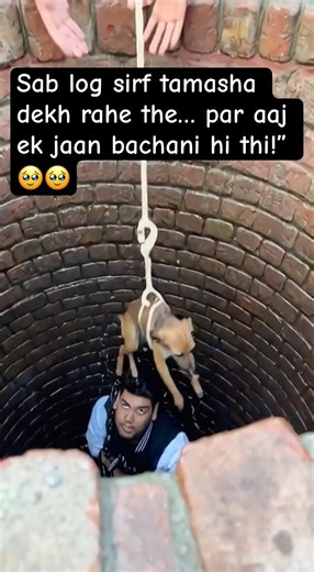 Kuyein me gira 🐶 bachaya ❤️ #dogrescue #shorts #animalhelpers #explorepage #help #petrescue