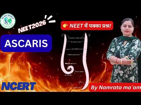 Ascaris (Roundworm) Full Explanation | Aschelminthes | NEET Biology class 11 biology