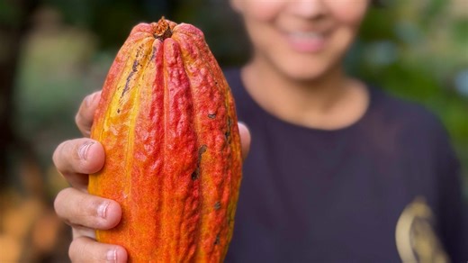 A first-gen farmer in Goa is crafting her own bean-to-bar chocolate