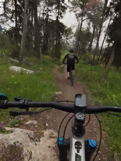 Having fun jumping in the woods