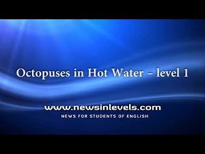 Octopuses in Hot Water – level 1 - News in Levels