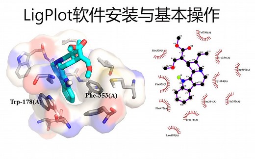 分子对接 二维可视化软件 ligplot 的下载安装与使用 链接：https://pan.baidu.com/s/1483MhfehugI8u0lNqRtu1Q