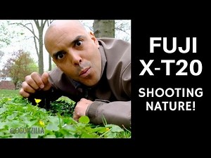 Shooting nature with the Fuji X-T20 in 4K