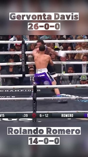 Gervonta Davis vs Rolly Romero | Fight Highlight #GervontaDavis #RollyRomero #sports #boxing #ko | Mark Paul Muaña