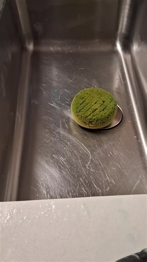 Cleaning Products Review: Toxic Yet Effective Solutions