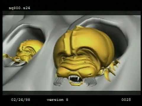 Antz: Webster Colcord Shots