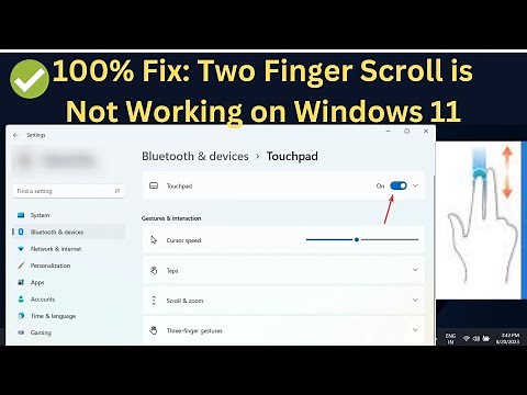 100% Fix: Two Finger Scroll is Not Working on Windows 11