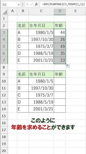 Excel【1分】数式で年齢を求める方法！「２選」