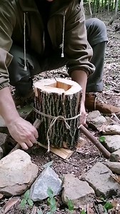 Survival Skills #bushcraft #camping #survival #outdoors #lifehack