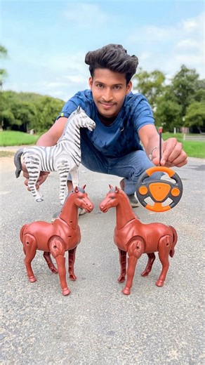 Rc Remote Control 2Ta Horse and Zebra Unboxing 🥹