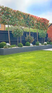 Time for a fresh trim! 👌 Always being asked about how we keep the pleached trees in shape. Well here it is… If you have any questions drop them in the comments 🥰 #pleachedtrees #gardendesignideas #perfectgarden #gardengoals #gardenprivacy #garden #gardenidea #gardenhowto #outdoorliving #newbuildgarden | house_proud_dads