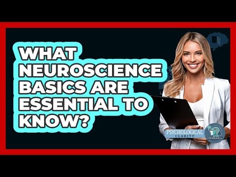 What Neuroscience Basics Are Essential To Know? - Psychological Clarity