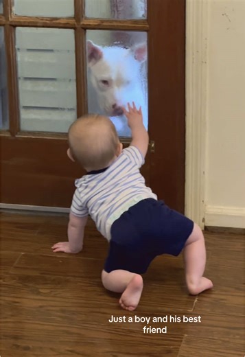 I can’t wait to watch their relationship grow. #ftm #sahm #boymom