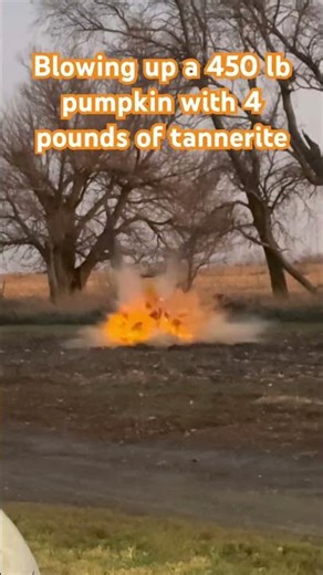 Blowing up a 450 lb pumpkin with 4 pounds of of tannerite!! #explosion #pumpkin #blowup