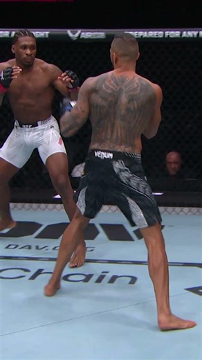 WHAT A SUBMISSION! #ufcseattle