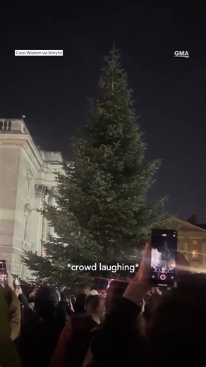 A crowd reacts to the hilarious Christmas tree lighting fail at Dublin's Trinity College. 😂🎄 https://gma.abc/3s5yoNB | Good Morning America