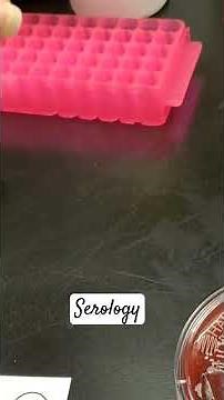 Latex agglutination test for Staphylococcus aureus