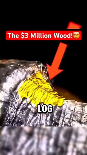 Why Is This Wood Worth Millions?