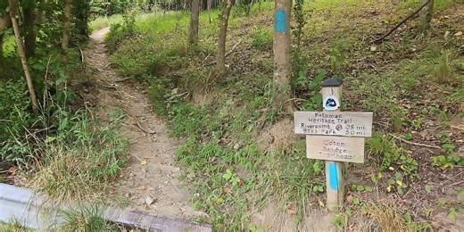 Trail Care Academy: Trail Management 101 Webinar Video Now Available