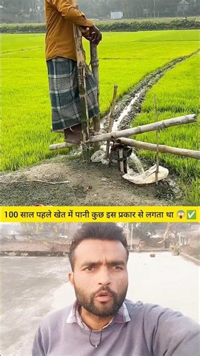 How Farmers Used to Water Fields 100 Years Ago 😱 | Old Farming Technique #shorts #shortsfeed #facts