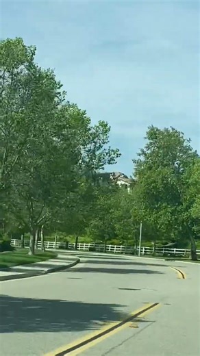 Springtime Drive 🌼🚗 | Peaceful & Beautiful Road Trip Moments #shorts