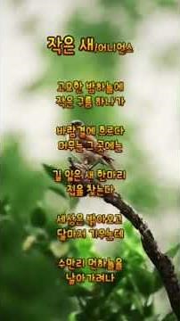 "작은 새/어니언스" #작은새 #어니언스 #포크명곡 #순수감성 #자유 #희망노래 #힐링송 #7080감성 #추억소환 #따뜻한음악