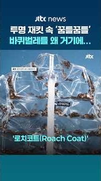 투명 재킷 속 '꿈틀꿈틀'...뉴욕서 등장한 '바퀴벌레 재킷'' #JTBC #Shorts