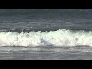 Surfing Fails