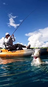 6.2K views · 97 reactions | Have you ever caught a snook? The Common...