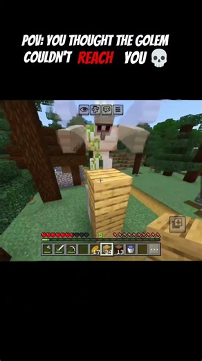 POV: nowhere is safe from a golem 💀 #minecraft