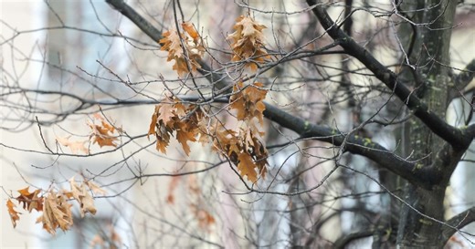 Dėl orų – perspėjimas: štai kas laukia artimiausiomis dienomis