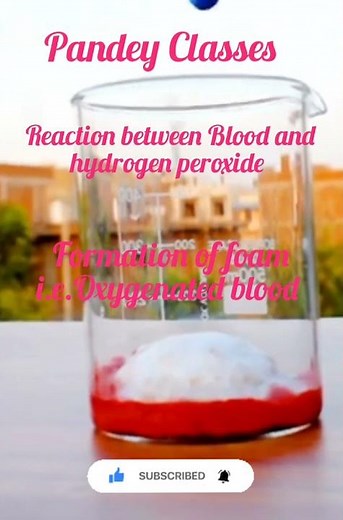 Formation of foam || Reaction between Blood and hydrogen peroxide #chemistry #experiment #ytshorts