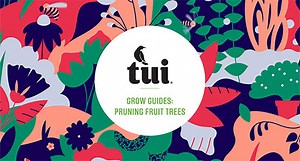Tui Grow Guides - Pruning Fruit Trees