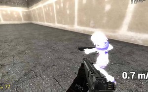 gmod CW2.0 快乐联机 45姐与海王星女神对狙